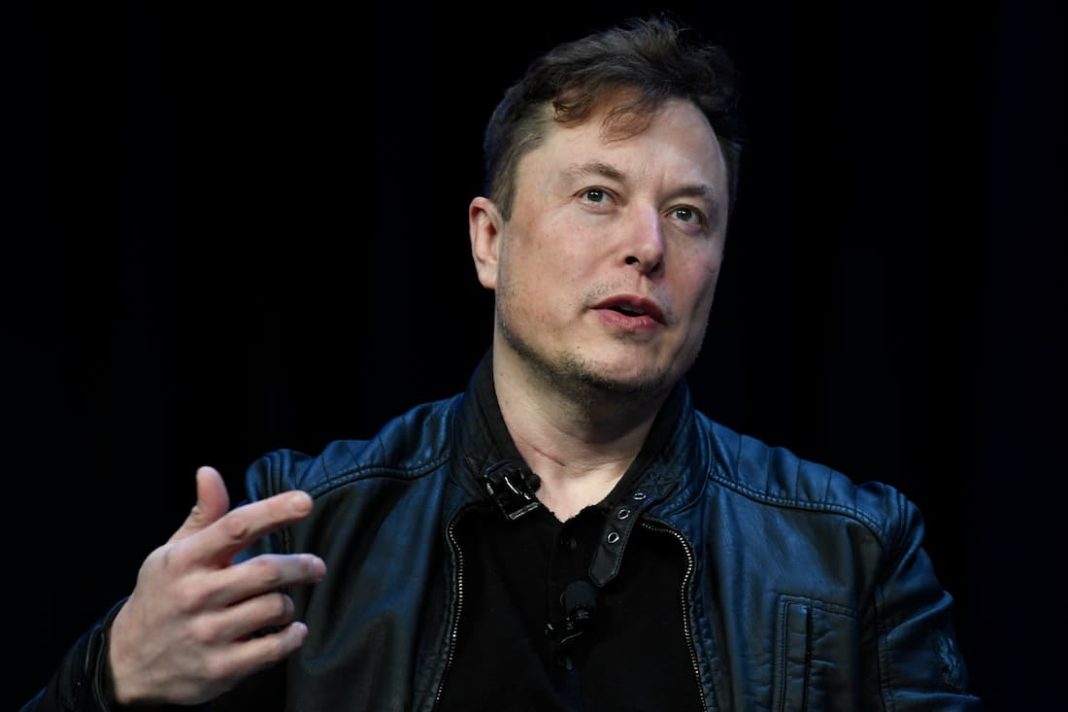 'Social Media Knob': Musk scorned over stance on X