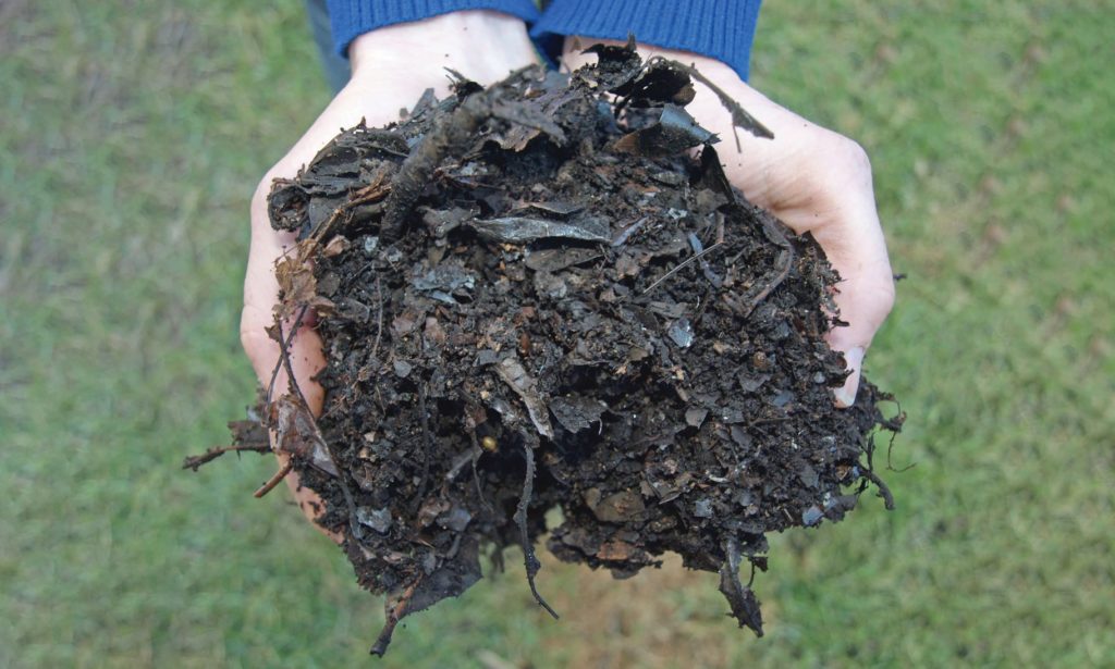 soil to help your waterwise gardening