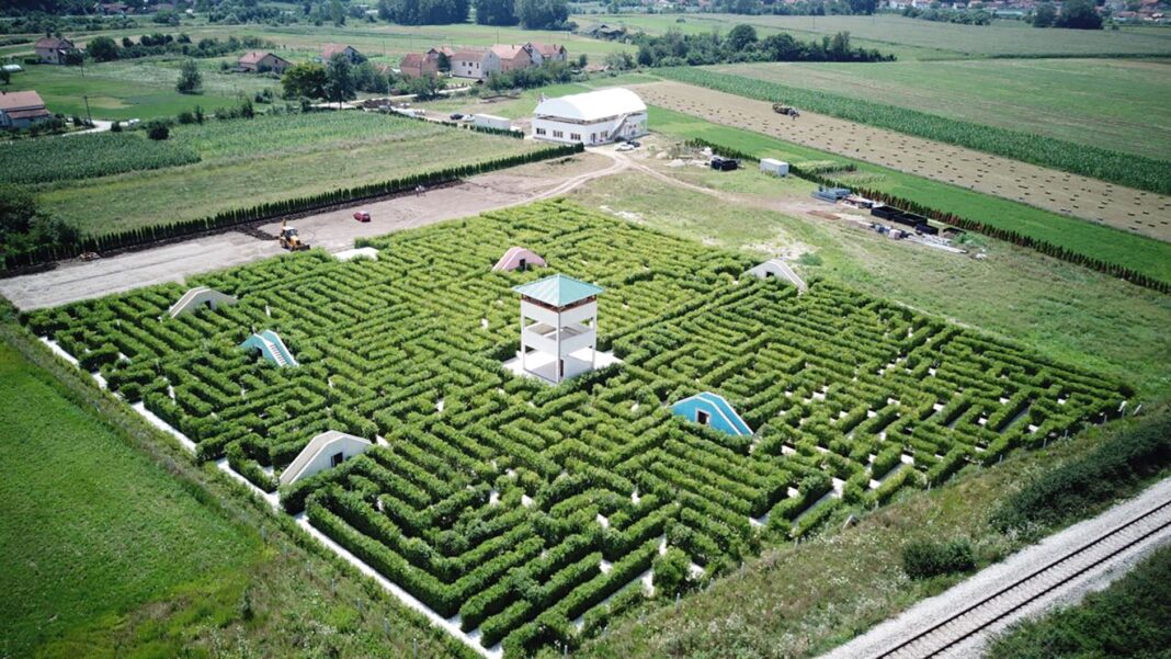 aerial shot of hedge maze