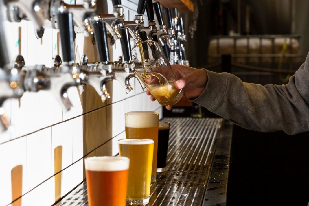 canberra pub capital brewing pouring beers
