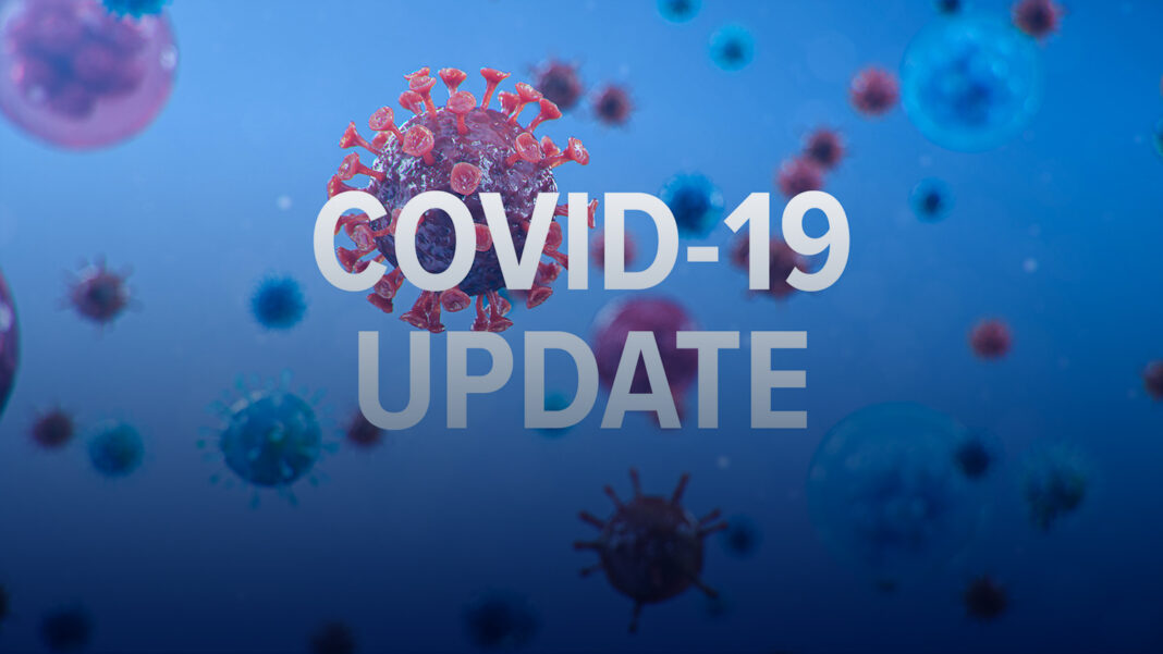 Artist's impression of red COVID-19 virus on blue background