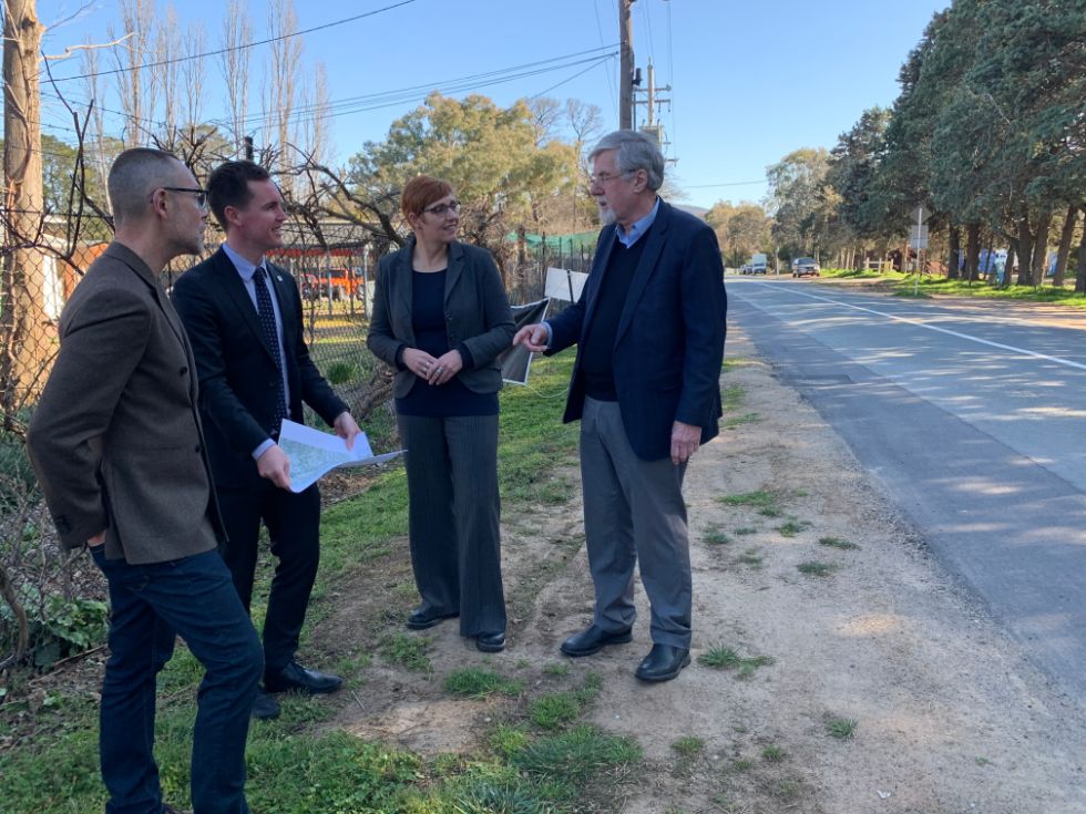 One woman and three men all in business suits standing on roadside verge in tree-lined street