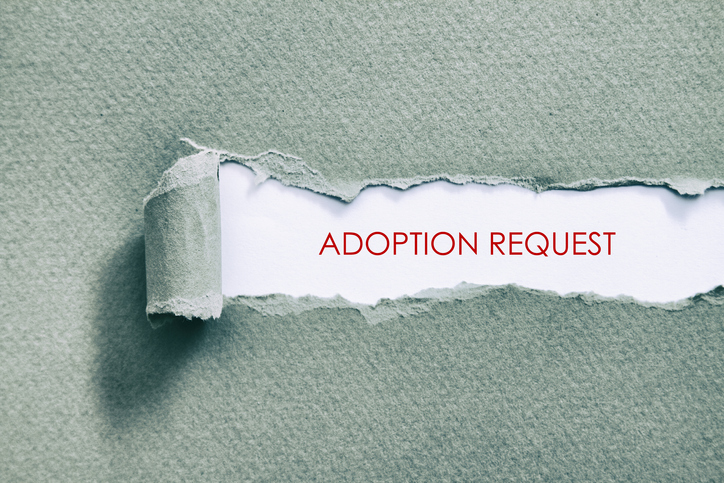 Adoption Request word written under torn paper.