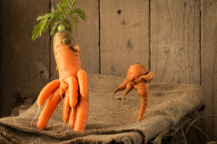carrots of unusual shape lies on a wooden table