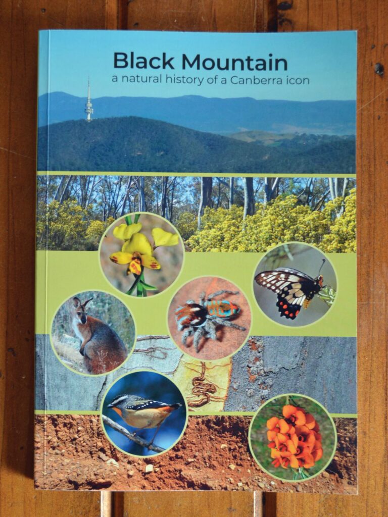 Black Mountain - A Natural History of a Canberra Icon book cover