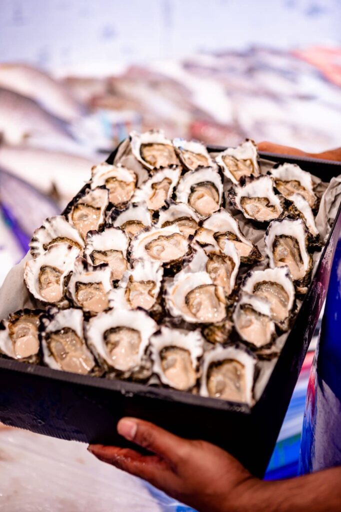tray of oysters
