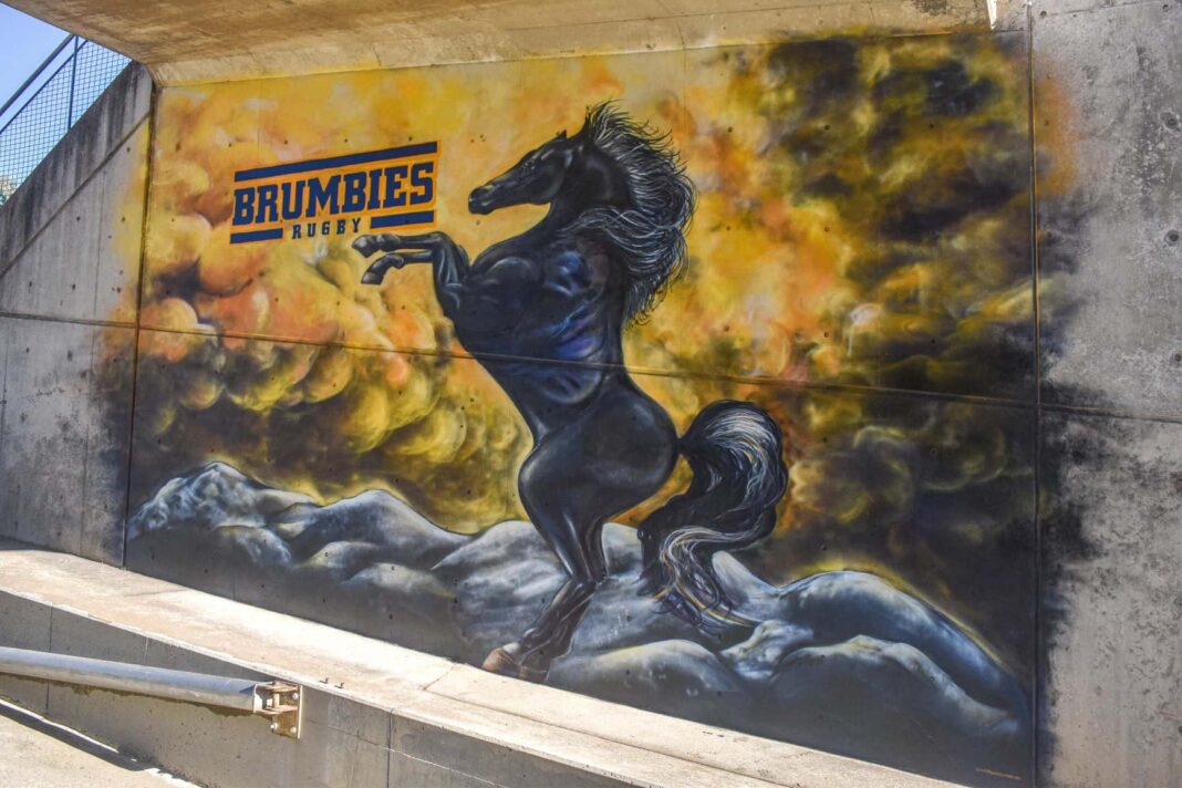 Brumbies mural at GIO Stadium