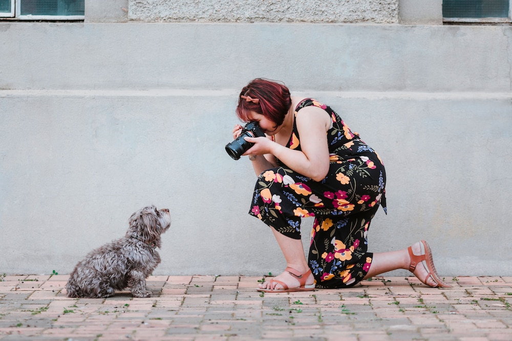Ina Jalil of Ina J Photography, kneels and takes photo of a small grey dog.