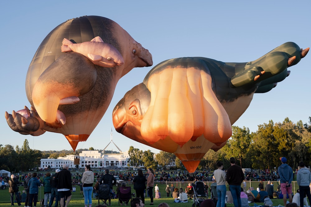 Skywhalepapa skywhale event easter long weekend Canberra