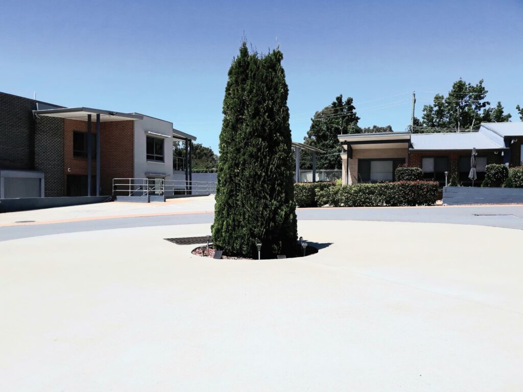 large roundabout with tree in the middle