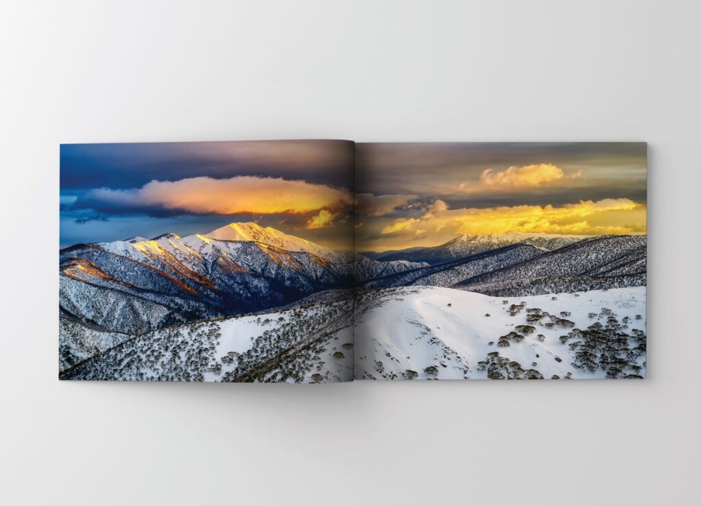 Scott Leggo snow book