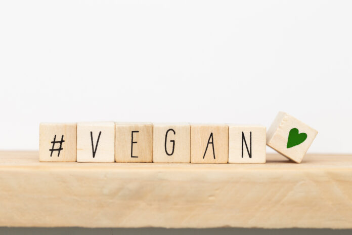 vegan, vegan blocks,