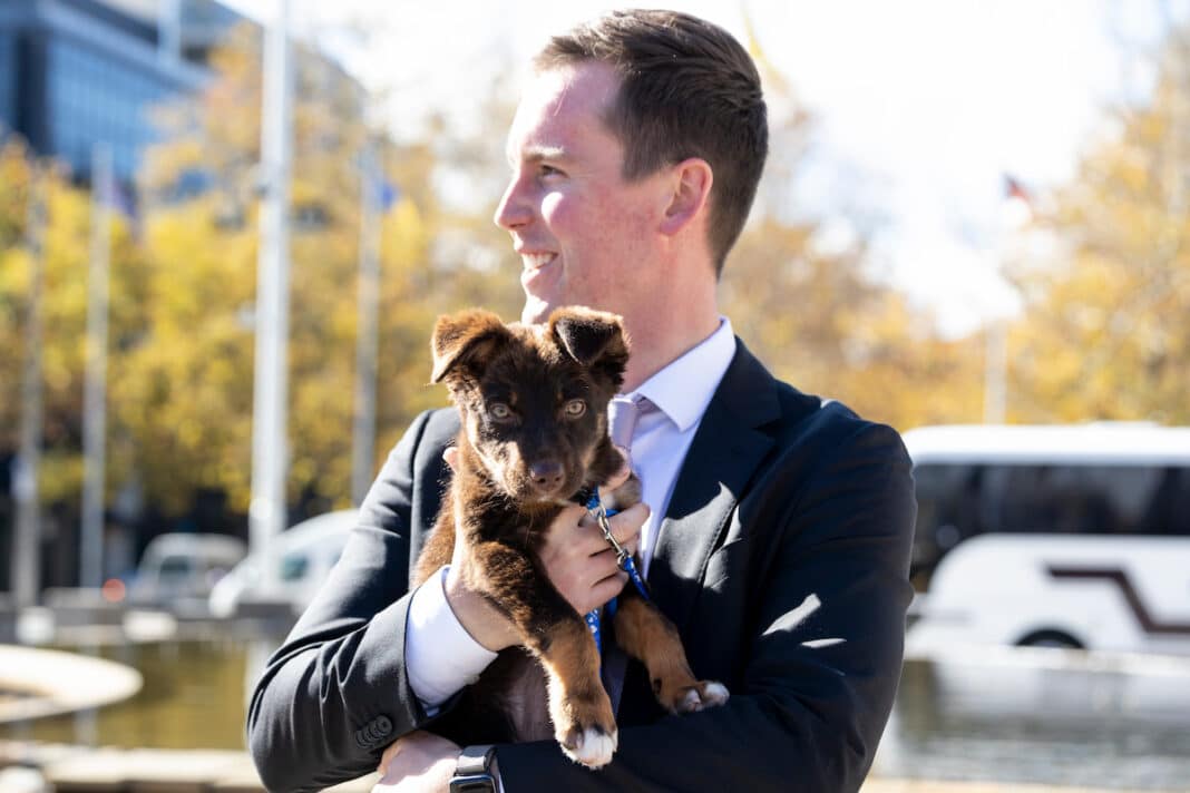 City Services Minister Chris Steel holds a puppy as he announces new ACT dog laws
