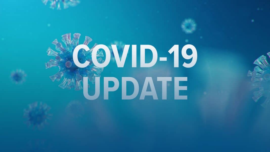 blue graphic of COVID virus fragments