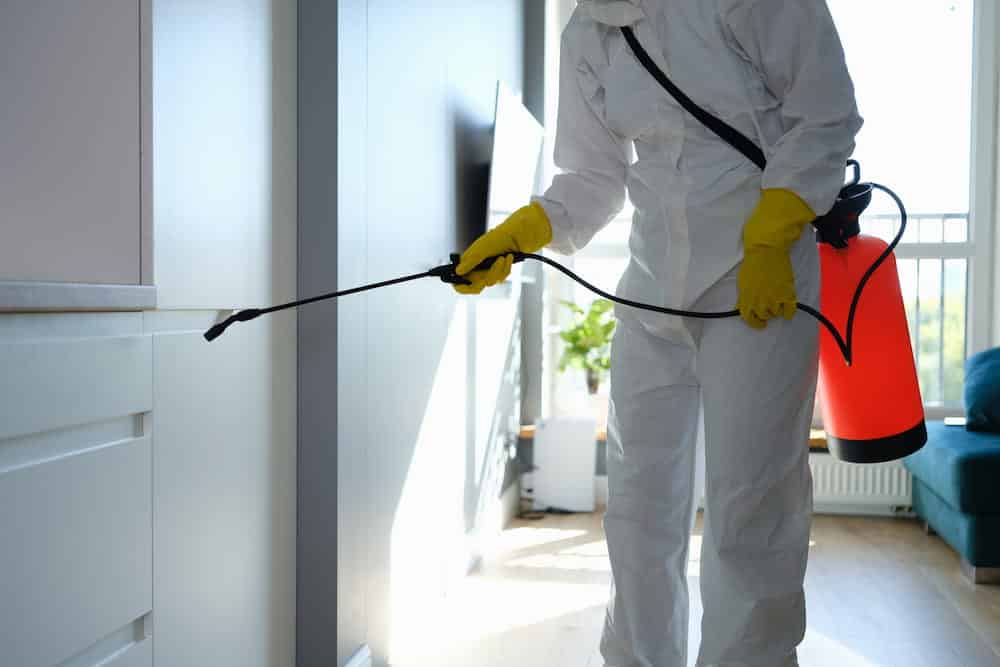 Canberra’s best pest control services