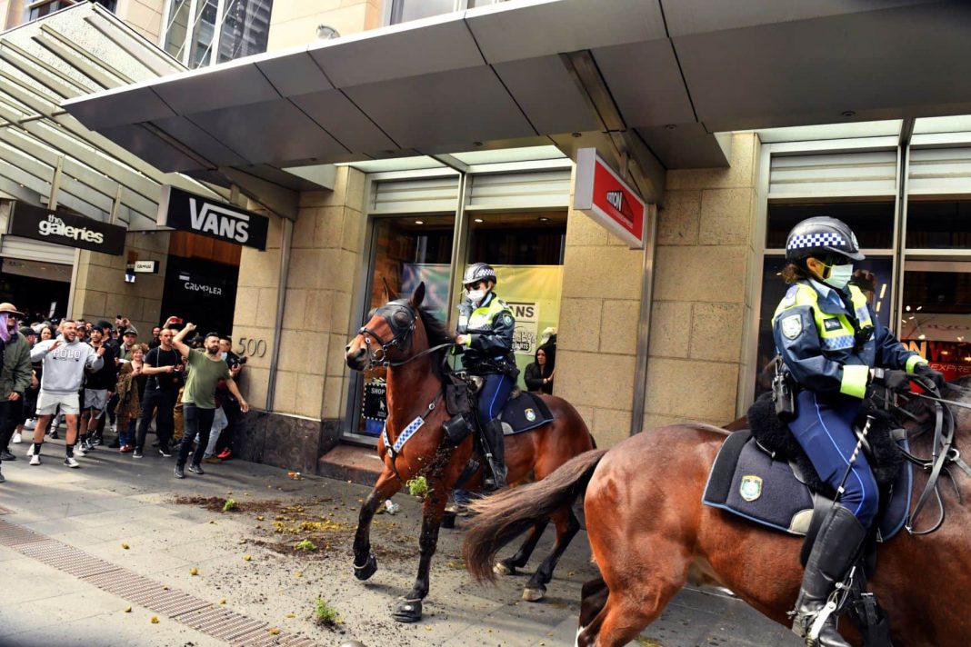 police horse Sydney protests