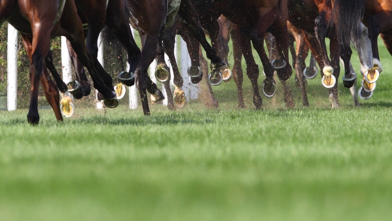 several horses hooves seen galloping along a racetrack