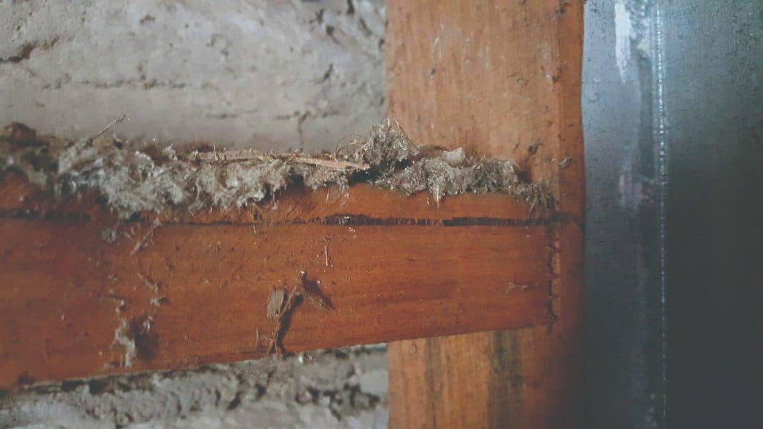 loose fill asbestos insulation seen in wall cavity