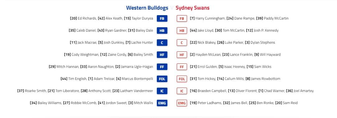 Swans Dogs teams