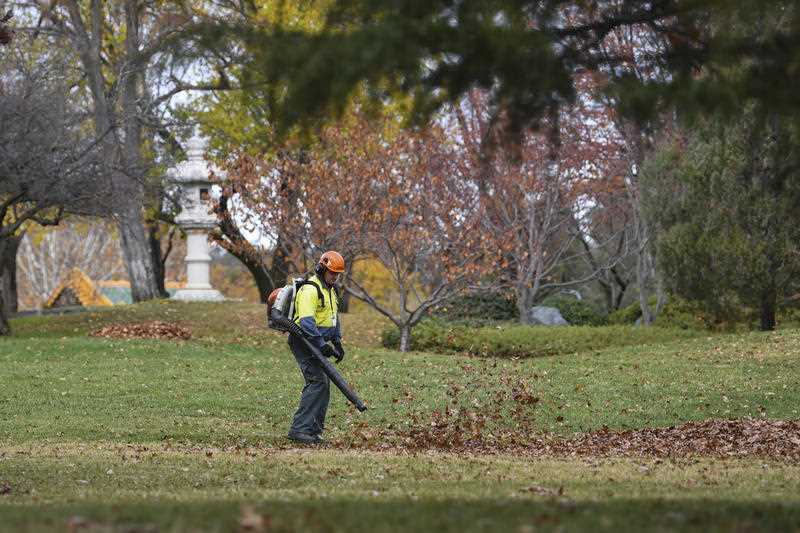A worker is seen using a leave blower to gather autumn leaves at Lennox Gardens in Canberra