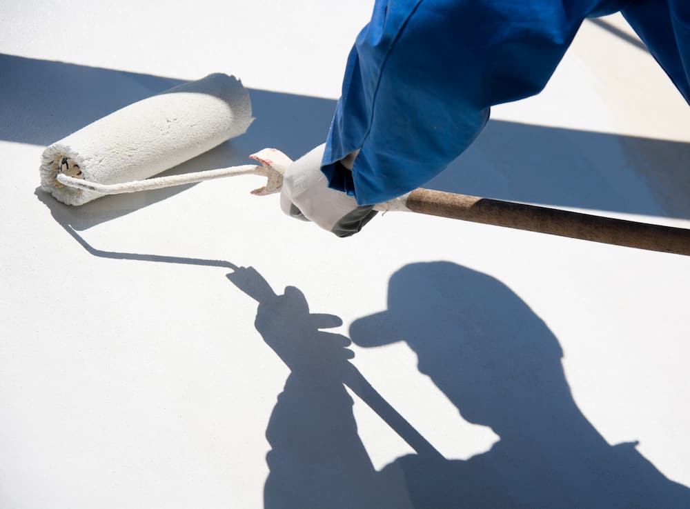 Canberra's best house painters