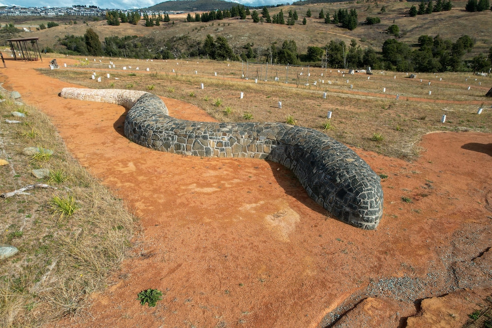 The statue of the pink-tailed worm-lizard at the Molonglo River Reserve. Photo: ACT Government