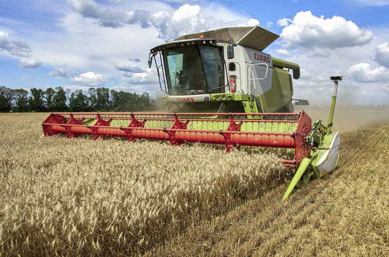 A harvest combine collects wheat at a field about 25 kilometers from the front line in the Chuhuiv region of Kharkiv area, Ukraine, 19 July 2022 amid the Russian invasion