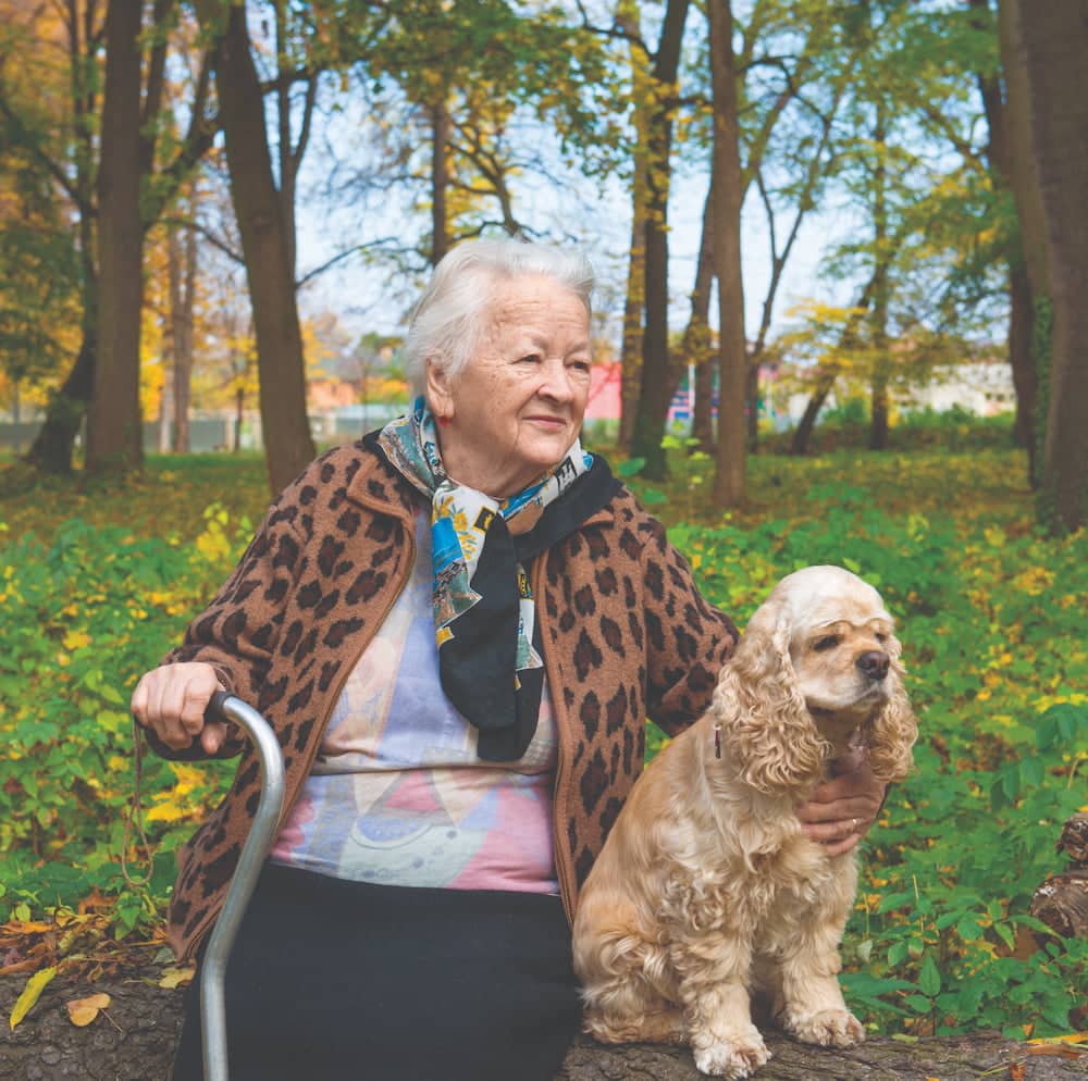 pets and positive ageing