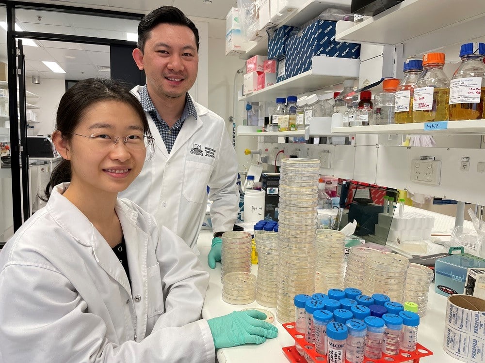 2 researchers in lab coats in a medical laboratory