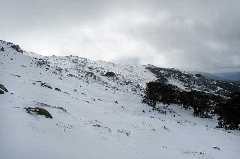 snow at Thredbo Ski Resort in the Snowy Mountains of NSW