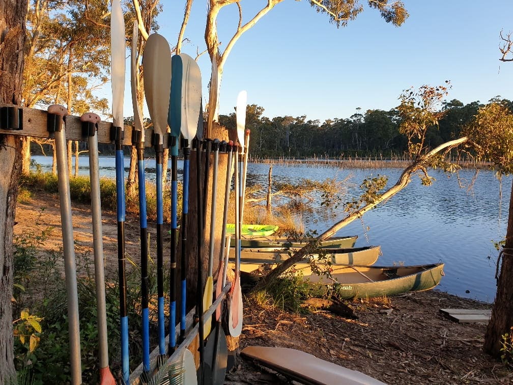 canoes and oars lined up in the sunshine at the edge of a placid lagoon