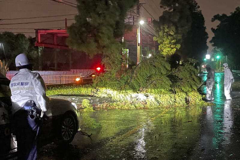 A tree is felled by strong winds as a powerful typhoon hits the area in Kumamoto, southwestern Japan late Sunday, Sept. 18, 2022