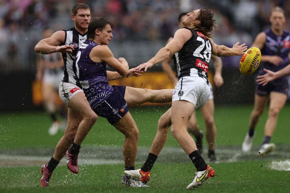 Magpies Dockers