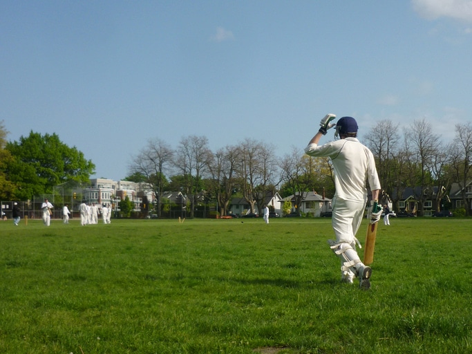 community cricket match at a local sports field