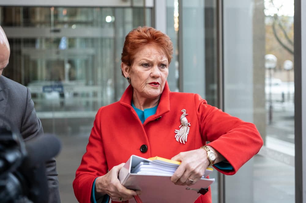 Pauline Hanson defamation
