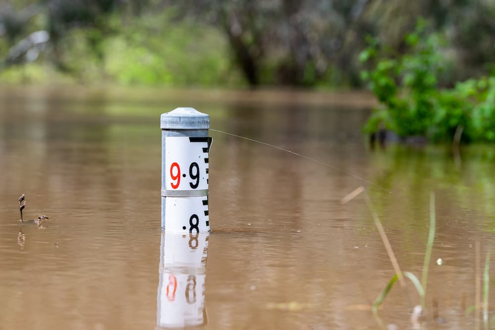 NSW flood