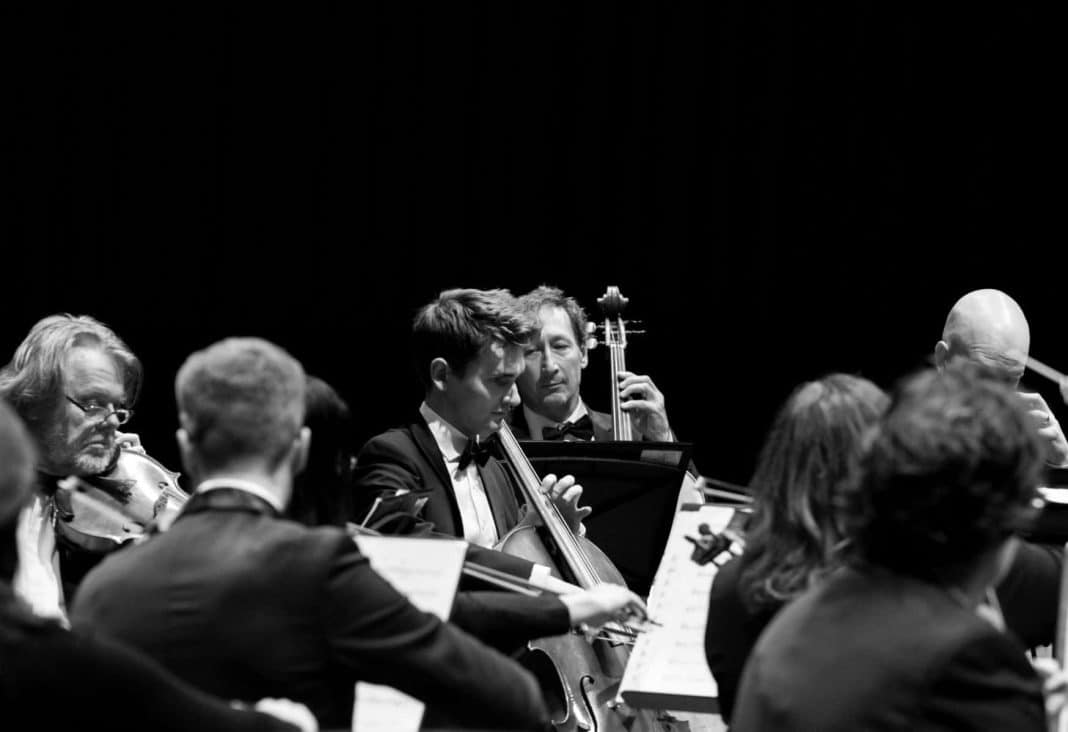 musicians playing in the Canberra Symphony Orchestra