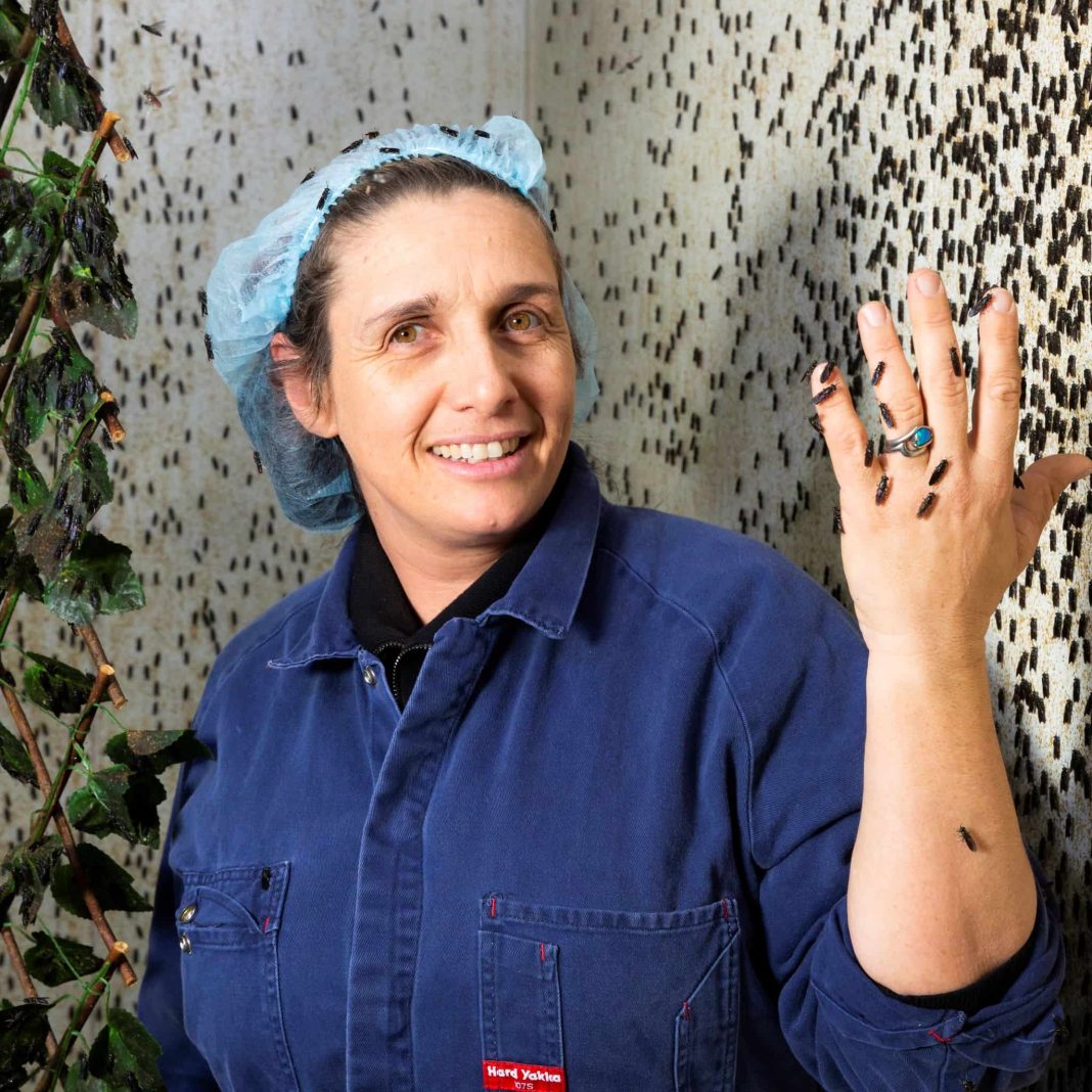 female insect farmer surrounded by flies in workspace