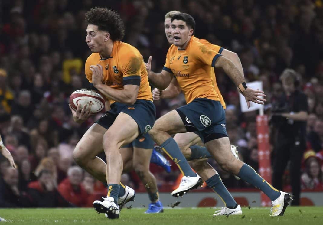 Wallabies Wales