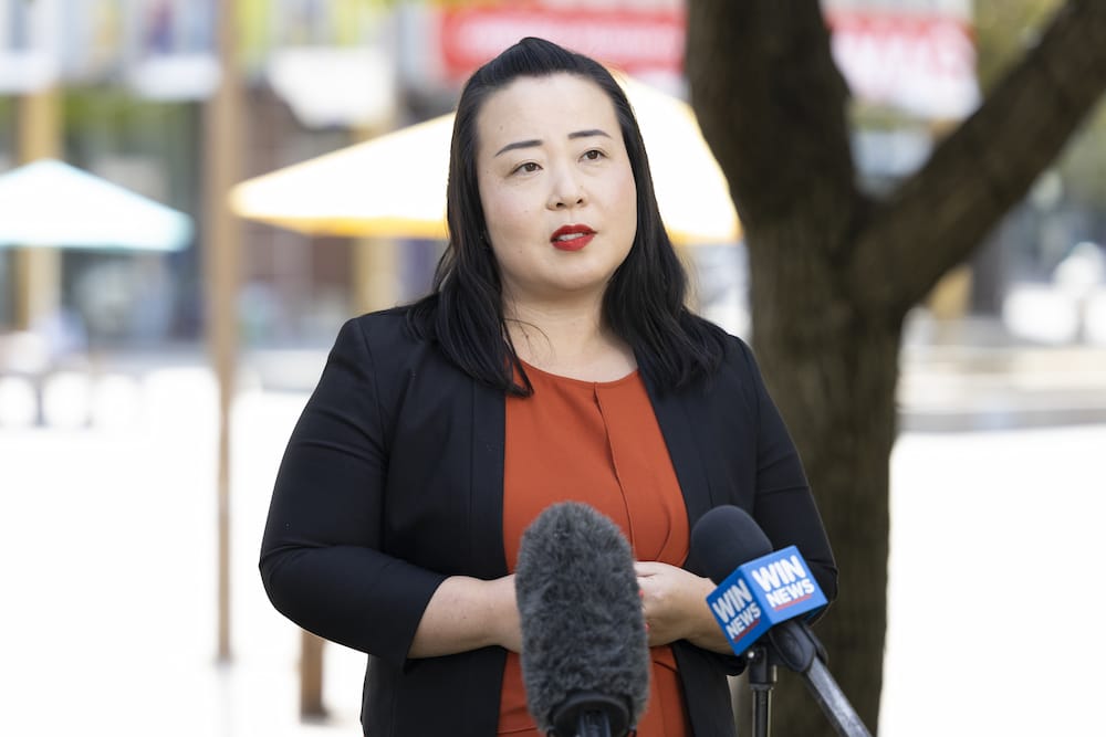 Canberra liberals leader Elizabeth Lee. Photo: Kerrie Brewer