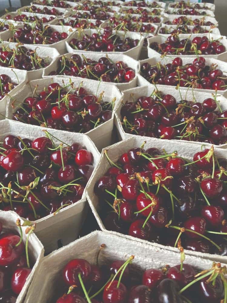 Capital Region Farmers Market