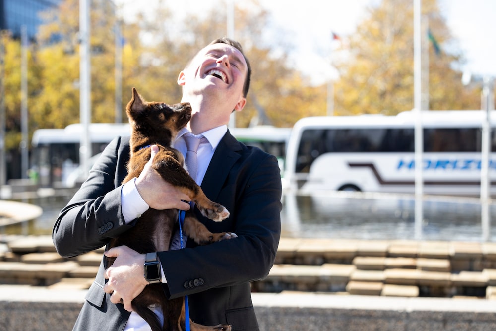 Chris Steel, ACT Minister for Transport and City Services, with an RSPCA puppy. Photo: Kerrie Brewer