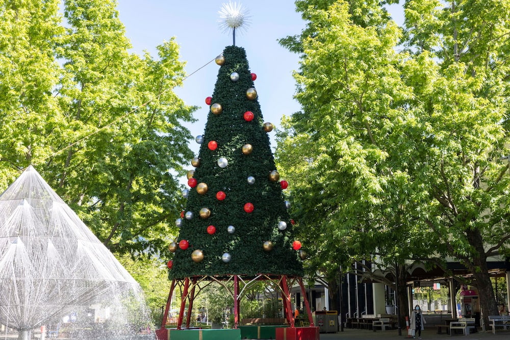 Christmas tree in the city. Photo: Kerrie Brewer