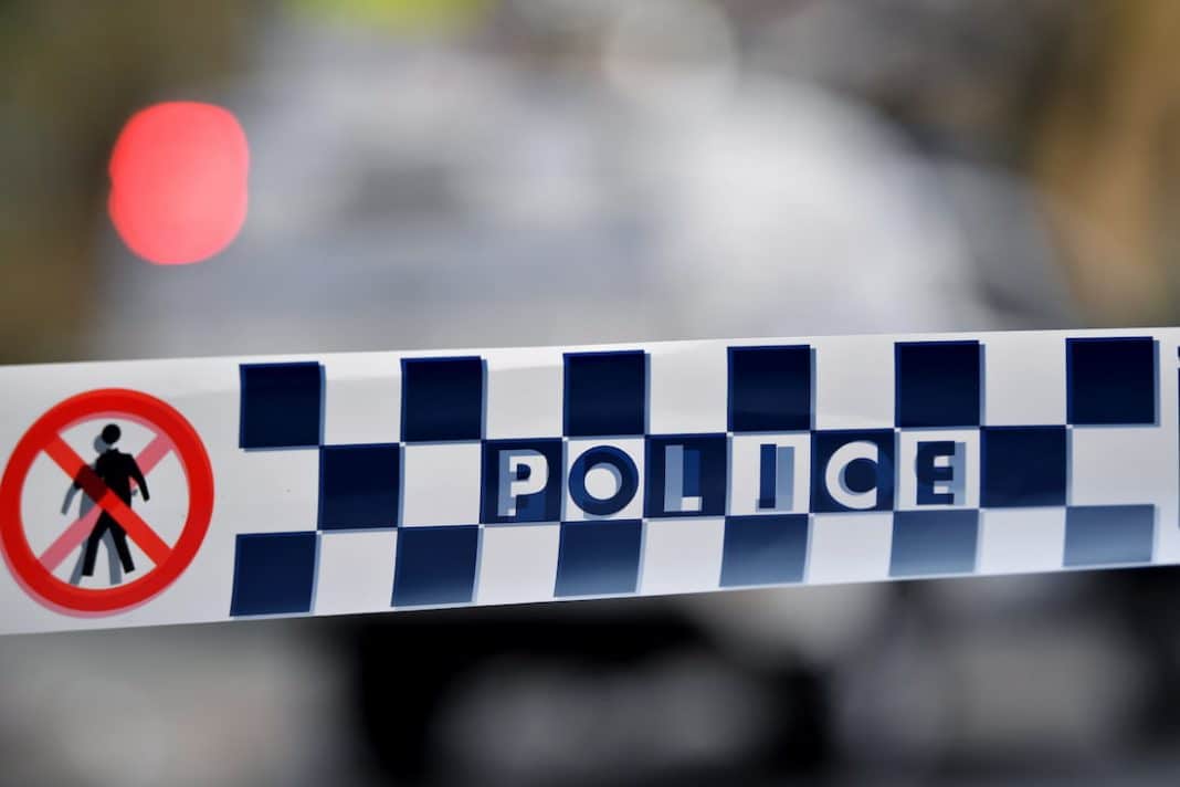 Baby girl dead after possible dog mauling in NSW