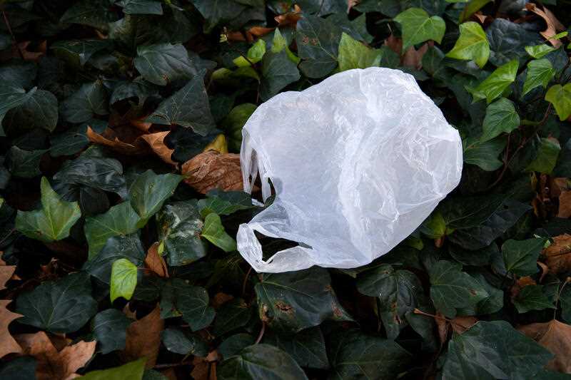 Lightweight plastic shopping bag litter is seen in a garden bed
