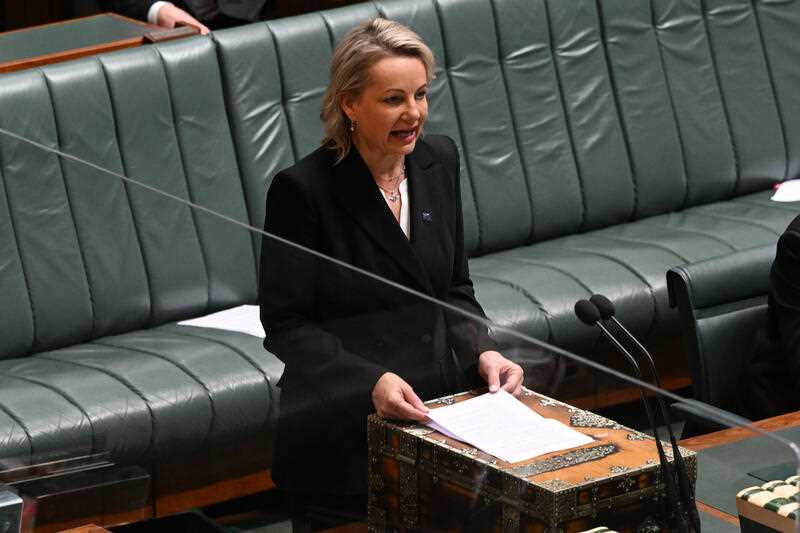Deputy Leader of the Opposition Sussan Ley speaking in the House of Representatives at Parliament House, in Canberra
