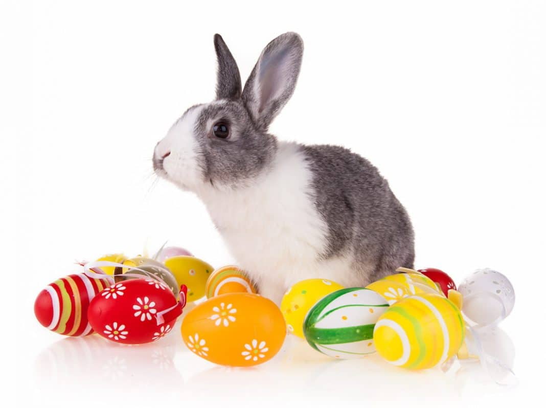 The true meaning of Easter is far more important to the world than bunnies and eggs are.