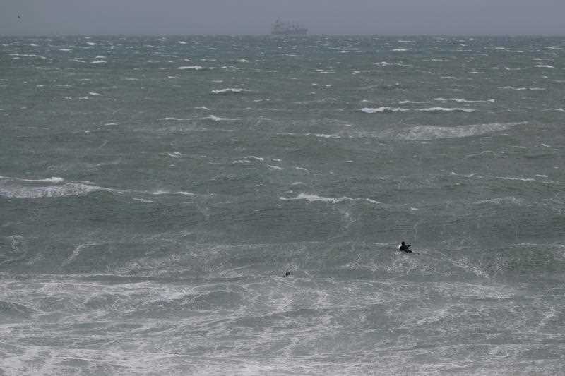 Surfers are seen paddling out at Cottesloe Beach in Perth