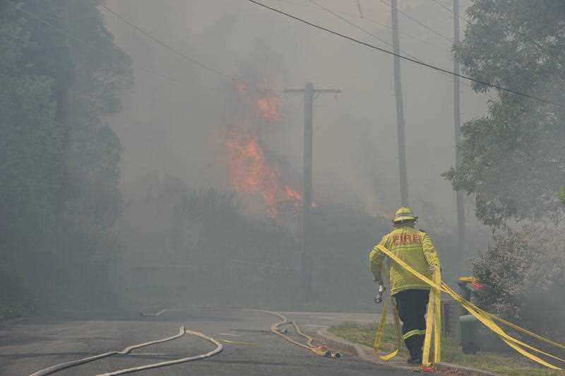 Fire and Rescue NSW officers in action at a bushfire