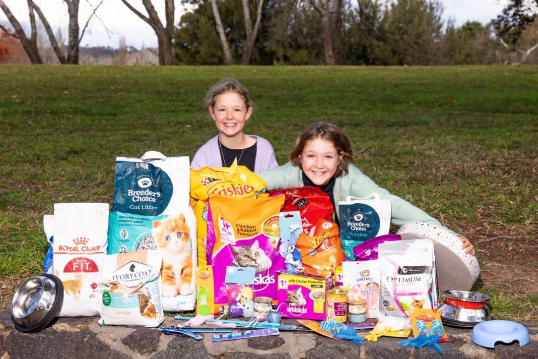 smiling 10-year-old girl twins with a pile of donated cat care items